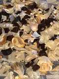 California Farm Made Black Garlic