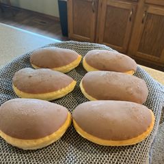 A picture of Chocolate Progies.