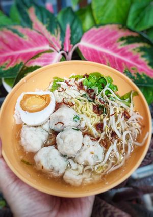 Foto resep 457 Bakso Ikan (35-GAS2025)