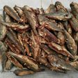 Chicharrillos en escabeche