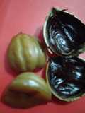 Cara Mengolah Kacang Berangan (chestnut)