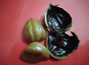 Foto resep Cara Mengolah Kacang Berangan (chestnut)