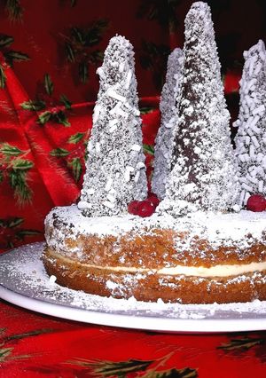 Foto di Torta natalizia
