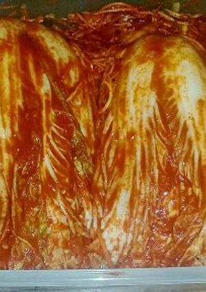 Foto resep Kimchi