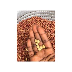 A picture of How to Deskin Groundnut perfectly.