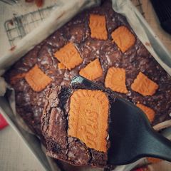 A picture of Lotus Brownies.