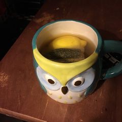 A picture of Hot Toddy.