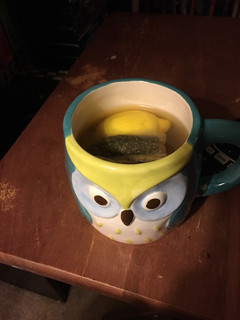 A picture of Hot Toddy.