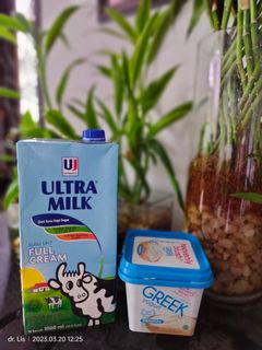 Foto resep Homemade yoghurt by ROICHEN