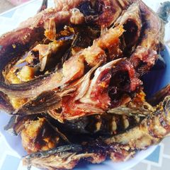 A picture of Fried mud fish.