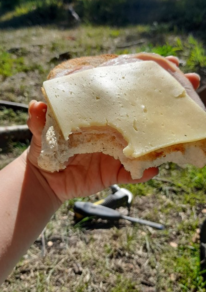 Una foto de Tostadas a la parrilla con jamón y queso
