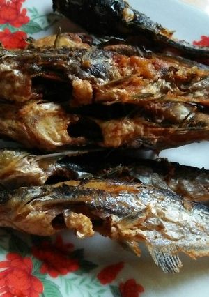 Foto resep Ikan patin goreng