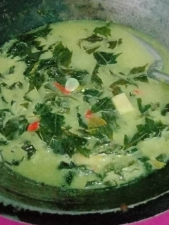 Foto resep Sayur santan daun pepaya Cayha (Jepang)