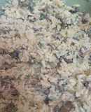 Ensalada de arroz