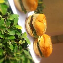 A picture of Burger.