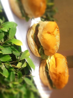 A picture of Burger.