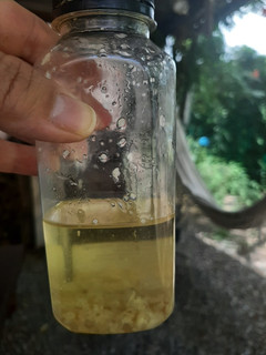 Una foto de Aceite de ajos