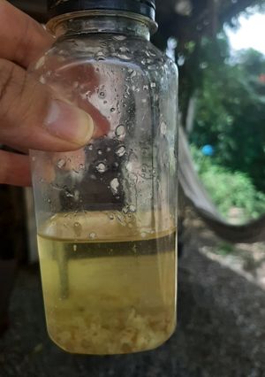 Una foto de Aceite de ajos