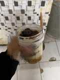 تراميسو بالشوفان
