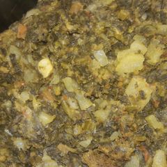 A picture of Muli bhaji.