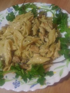 عکسی از دستور پاستا پنه آلفردو