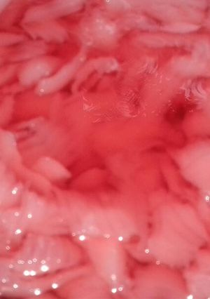 Foto resep Es kelapa muda kw