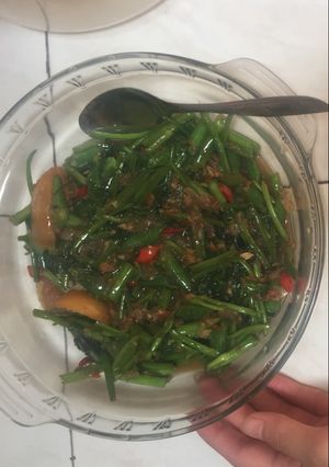 Foto resep Tumis kangkung saos tiram