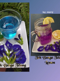 Foto resep 205. Teh Bunga Telang