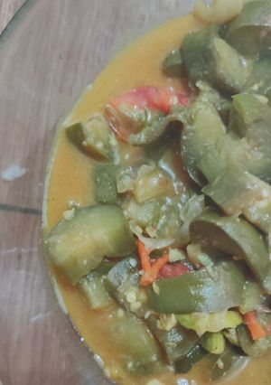 Foto resep Terong Hijau Santan
