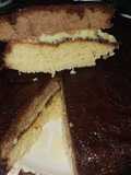Panetela doble tentación (bizcocho de vainilla y chocolate)