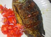A picture of seafood salad