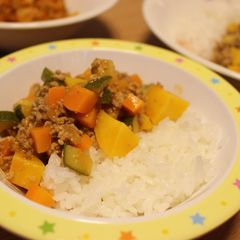 A picture of Kids-friendly Rice and Dry Curry.
