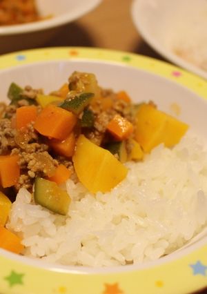 A picture of Kids-friendly Rice and Dry Curry.