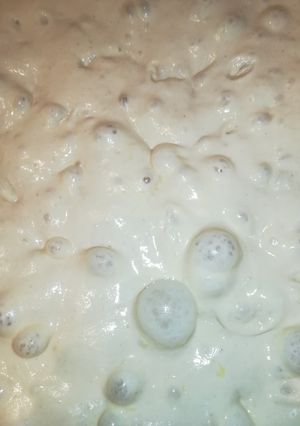 Foto di Impasto pizza, metodo diretto con maturazione 24 ore, 75% idro