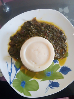 A picture of Semo with veggiesoup.