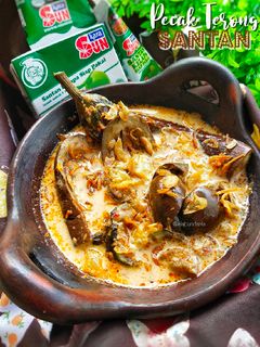 Foto resep Pecak Terong Santan