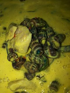 Gambar Siput sedut masak lemak cili api berapi🔥
