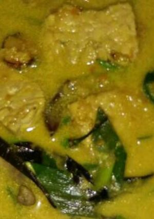 Foto resep Opor ayam+tempe