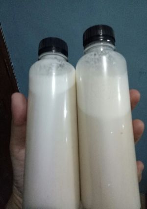 Foto resep Susu Kurma Made by Me