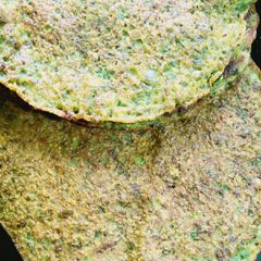 A picture of Spinach cheela.