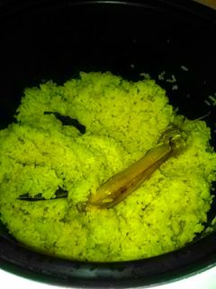 Foto resep Nasi kuning magic com