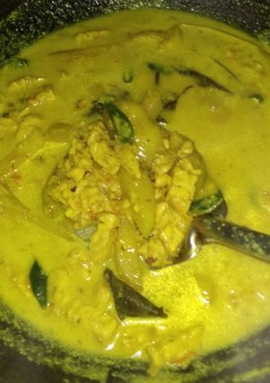 Foto resep Sayur kuning tempe kentang