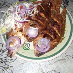A picture of Kasheshe kifi.