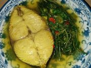 Gambar ikan tenggiri healthy