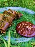 Tamal de hierba santa (Ticoo yuconroo)