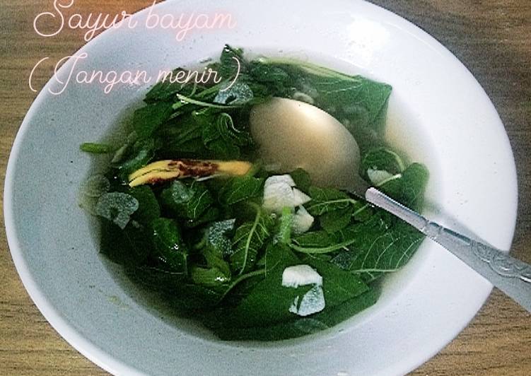 Sayur bayem (jangan menir) porsi anak kos dan no msg