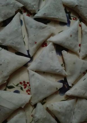 A picture of Chicken Qeema Samosa.