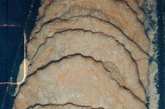 Cara Memasak Cireng Isi Ayam Suir Pedas Untuk Pemula