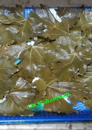 صورة لوصفة تخزين ورق العنب