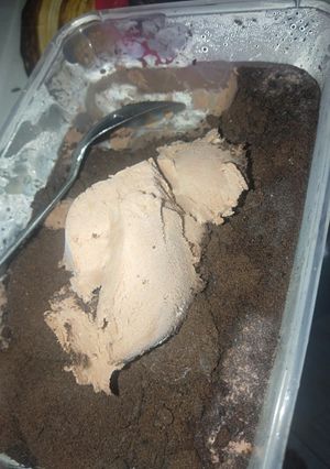 Foto resep Es cream homemade